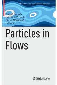 Particles in Flows