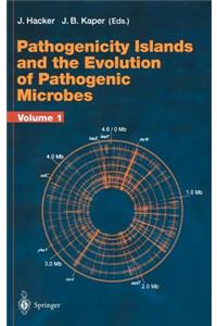 Pathogenicity Islands and the Evolution of Pathogenic Microbes