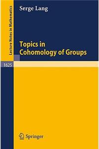 Topics in Cohomology of Groups