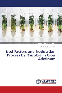 Nod Factors and Nodulation Process by Rhizobia in Cicer Arietinum