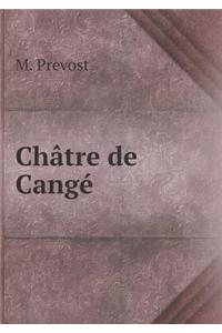 Châtre de Cangé