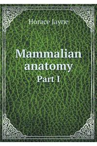 Mammalian anatomy Part I