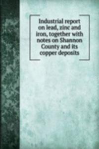 Industrial report on lead, zinc and iron, together with notes on Shannon County and its copper deposits