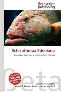 Schizothorax Edeniana