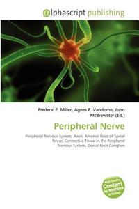 Peripheral Nerve