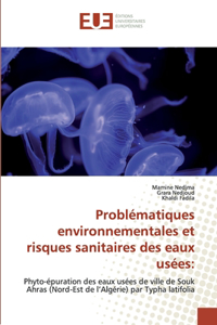 Problématiques environnementales et risques sanitaires des eaux usées