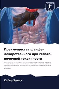 Преимущества шалфея лекарственного при г