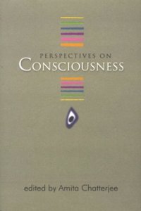 Perspectives on Consciousness
