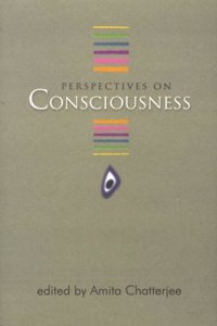 Perspectives on Consciousness