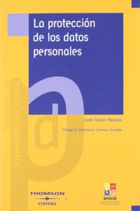 La proteccion de los datos personales - Un analisis desde la perspectiva del Derecho Penal (Proteccion de Datos) (Spanish Edition)