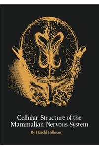 The Cellular Structure of the Mammalian Nervous System