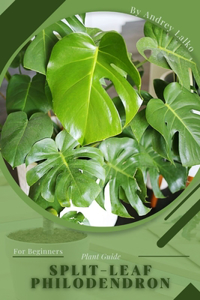 Split-Leaf Philodendron