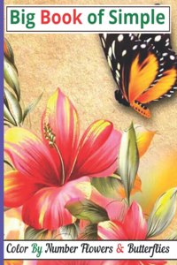 Big Book of Simple Color By Number Flowers & Butterflies
