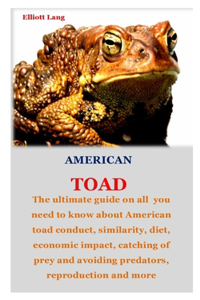 American Toad