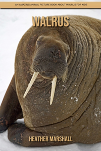 Walrus