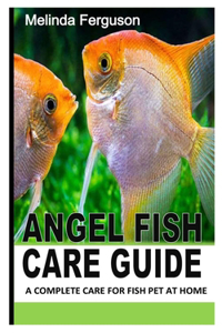 Angel Fish Care Guide