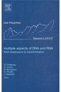 Multiple Aspects of DNA and RNA: from Biophysics to Bioinformatics