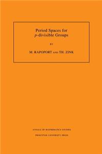 Period Spaces for p-divisible Groups