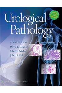 Urological Pathology