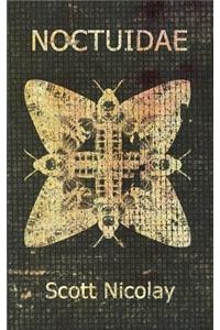 Noctuidae