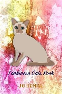 Tonkinese Cats Rock