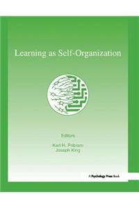 Learning as Self-Organization