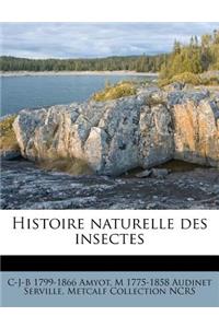 Histoire Naturelle Des Insectes
