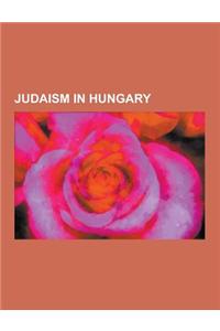 Judaism in Hungary: Hungarian Rabbis, Sanz Hasidism, Satmar Hasidism, Synagogues in Hungary, Isaac Klein, Kiryas Joel, New York, Satu Mare