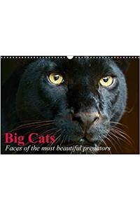 Big Cats * Faces of the Most Beautiful Predators 2018