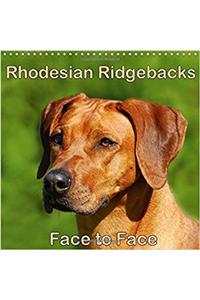 Rhodesian Ridgebacks Face to Face 2018