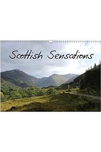 Scottish Sensations 2018
