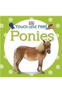 Touch and Feel Ponies