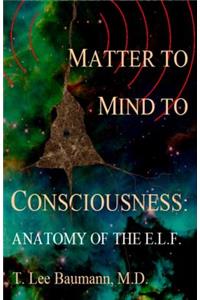 Matter to Mind to Consciousness