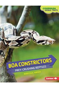 Boa Constrictors
