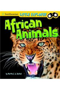 Little Scientist African Animals