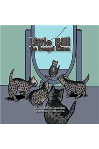 Little Bill The Bengal Kitten