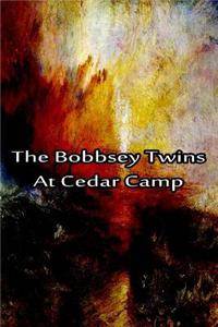 Bobbsey Twins At Cedar Camp