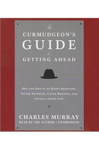 Curmudgeon's Guide to Getting Ahead
