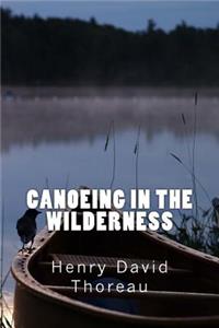 Canoeing In The Wilderness