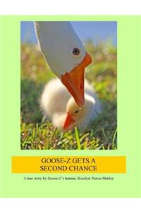 Goose-Z Gets a Second Chance