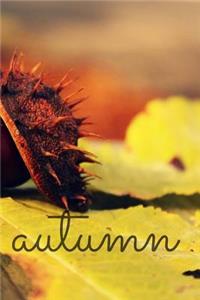 Autumn