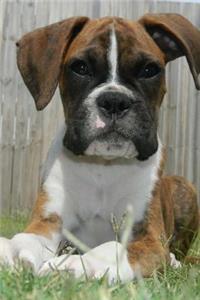Very Sweet Boxer Dog Pet Portrait Journal