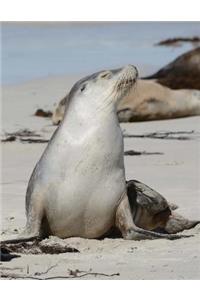 Kangaroo Island Wildlife Notebook