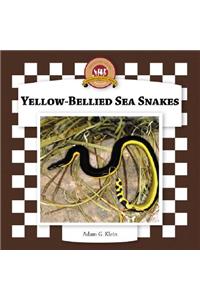 Yellow-Bellied Sea Snakes