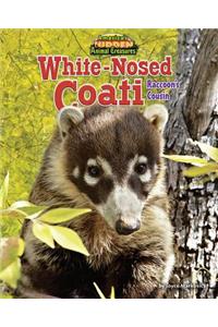 White-Nosed Coati