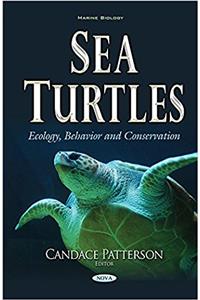 Sea Turtles