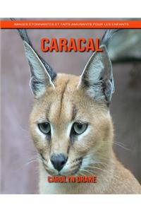 Caracal