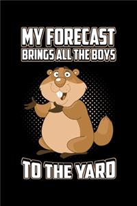 My Forecast Brings All The Boys To The Yard