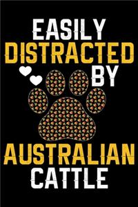 Easily Distracted by Australian Cattle