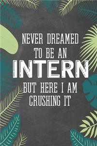 Never Dreamed To Be an Intern But Here I Am Crushing It